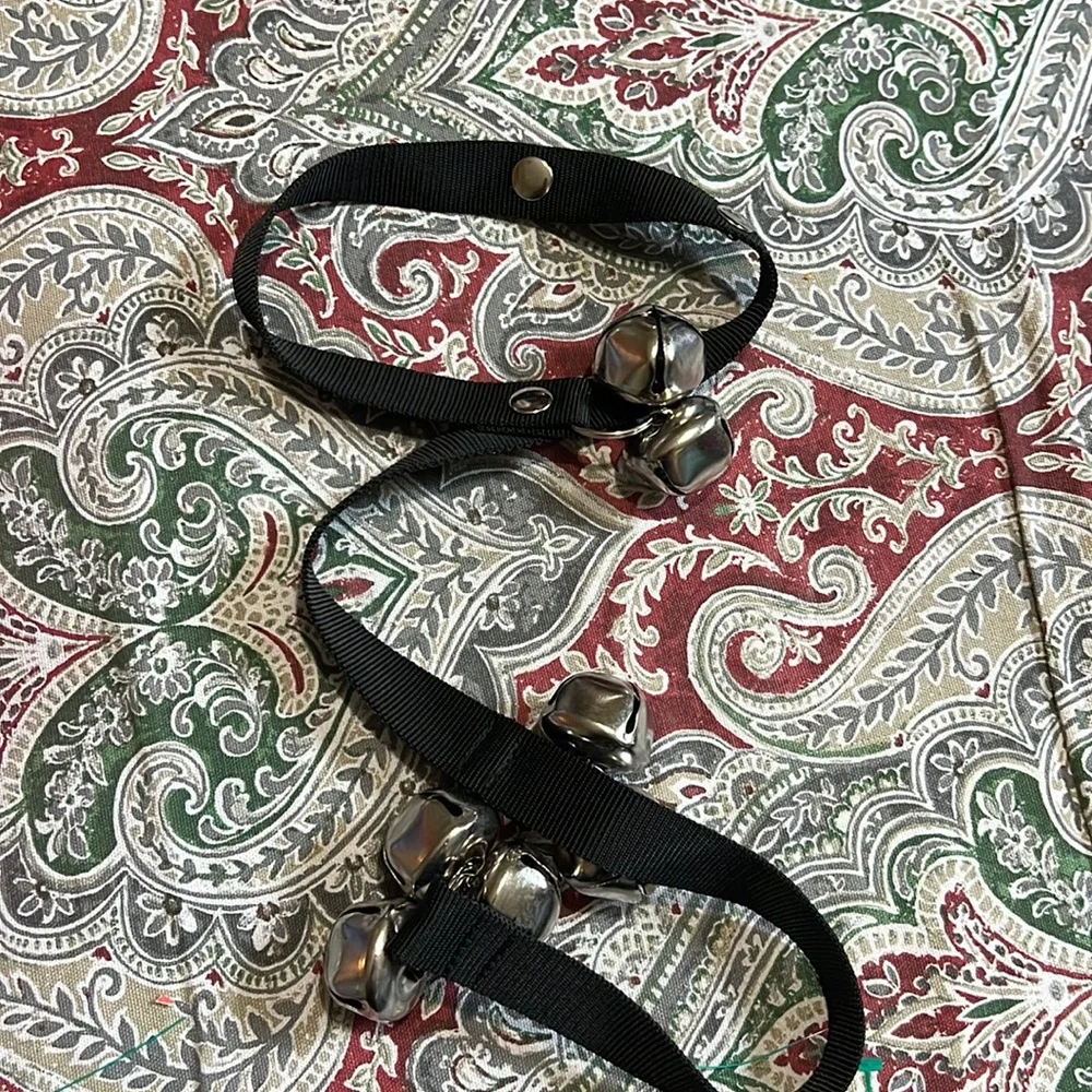 Dog ring trainer